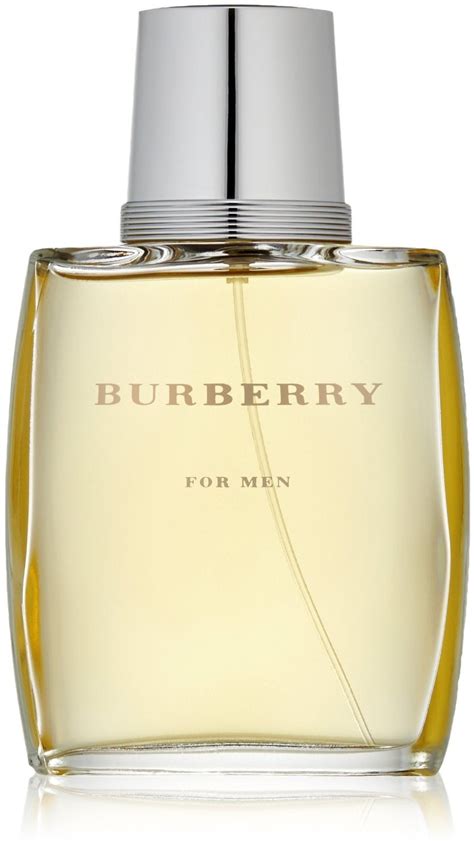 burberry cologne description